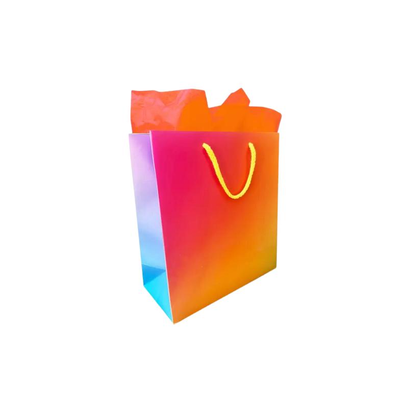 Colorful Gradient Gift Bag